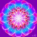 Dandelion flower